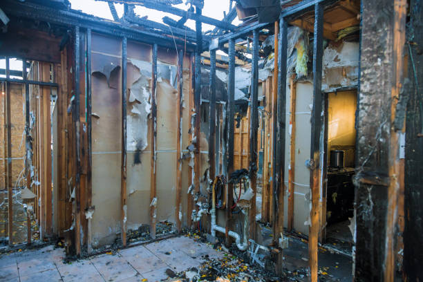 Professional Fire Damage Repair technician working in Wauna, WA